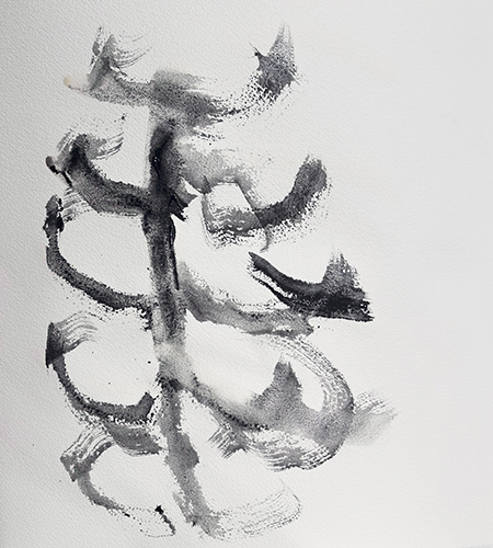 expositions | cosmos | &copy; patrice de Santa Coloma