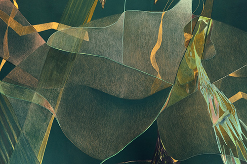 muestras | jungle | &copy; patrice de Santa Coloma