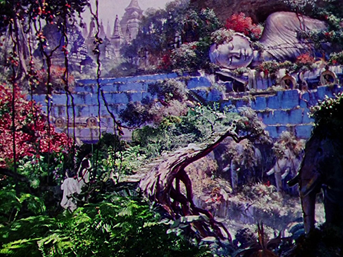 muestras | jungle | &copy; patrice de Santa Coloma