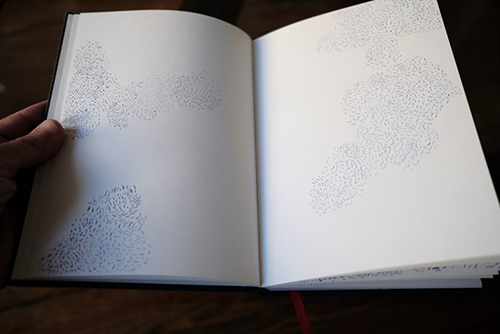 exhibitions | une-vie-en-pointilles | &copy; patrice de Santa Coloma