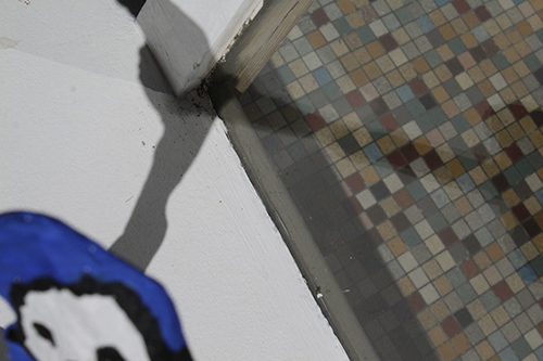 expositions | youth | &copy; patrice de Santa Coloma