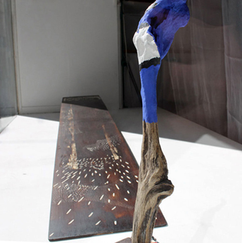 expositions | youth | &copy; patrice de Santa Coloma