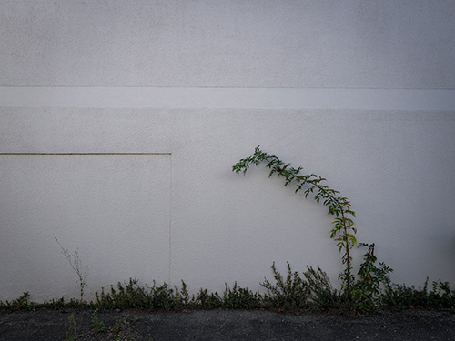 photographie | archambaud | &copy; patrice de Santa Coloma