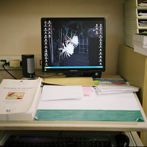 fotografia | desktops | &copy; patrice de Santa Coloma