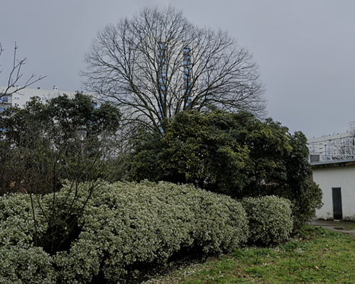 photographie | grand-parc | &copy; patrice de Santa Coloma