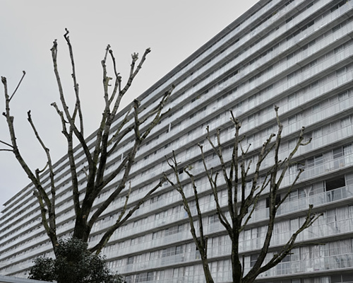 photographie | grand-parc | &copy; patrice de Santa Coloma