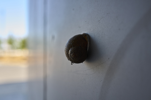 photographie | porte-de-begles | &copy; patrice de Santa Coloma
