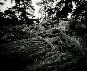 fotografia | spam | &copy; patrice de Santa Coloma