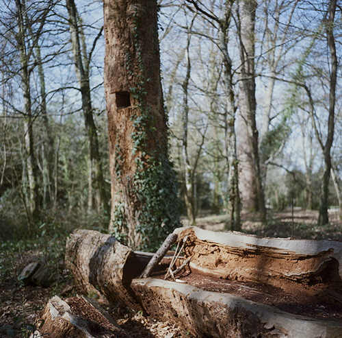 fotografia | tenet-park | &copy; patrice de Santa Coloma