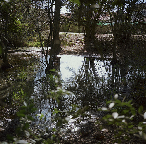 fotografia | tenet-park | &copy; patrice de Santa Coloma