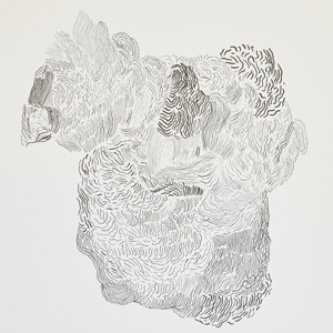 homepage  | image thumb | 
             
                         Scatter Like a Flock of Birds, ink drawings             | © patrice de Santa Coloma